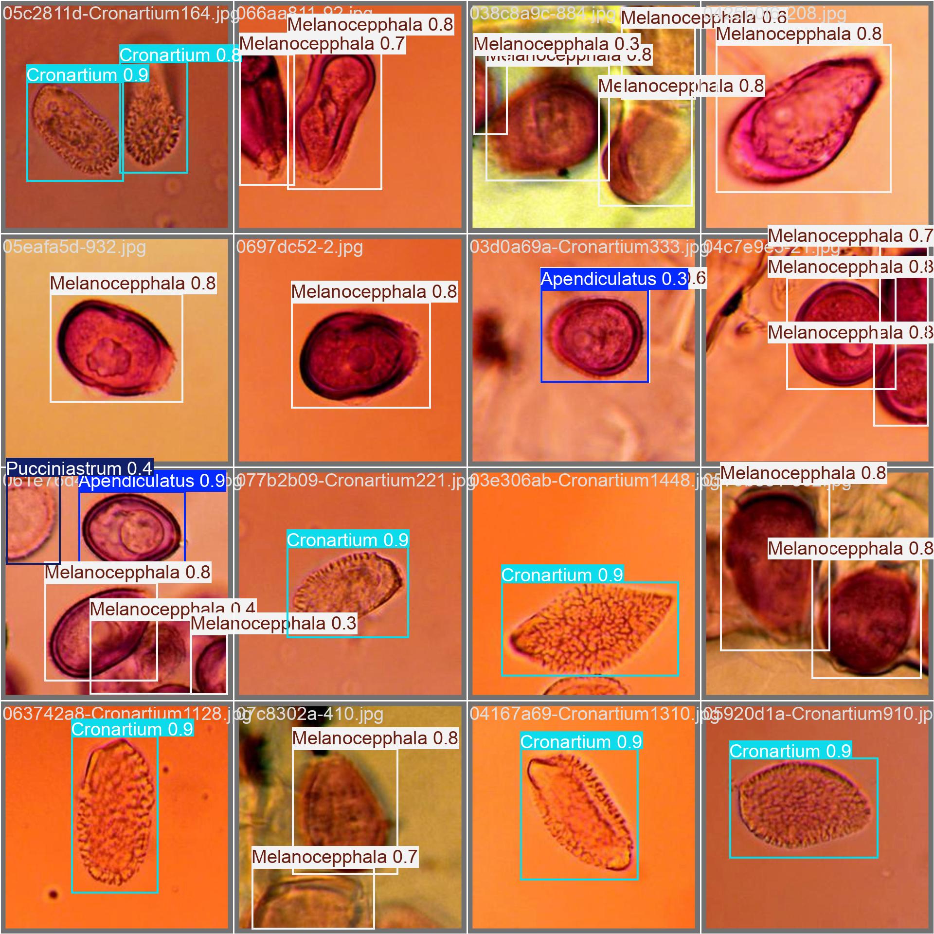 Example Detection 1