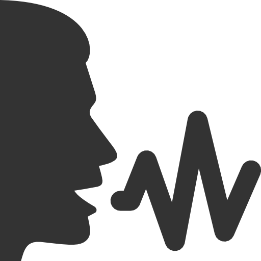 Audio Input